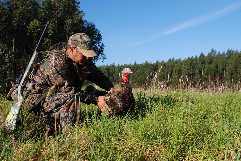 Hunter places a turkey decoy on the grass